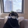 崔子格 - 卜卦(Dj茂记 ProgHouse Rmx 2025)