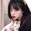 Vì Anh Đã Quá Yêu Em - Linh Ku Mix