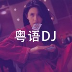 全粤语中文DJ，百听不腻
